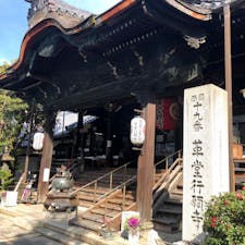 第四番札所
革堂行願寺



#サント船長の写真　#洛陽三十三所観音霊場#西国三十三箇所霊場