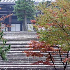 第五番札所
新長谷寺(真如堂)
◎宗派・天台宗◎十一面観音菩薩（新長谷寺


#サント船長の写真　#洛陽三十三所観音霊場