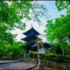 第五番札所
新長谷寺(真如堂)
◎宗派・天台宗◎十一面観音菩薩（新長谷寺


#サント船長の写真　#洛陽三十三所観音霊場