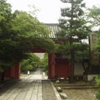 第五番札所
新長谷寺(真如堂)
◎宗派・天台宗◎十一面観音菩薩（新長谷寺

陽成天皇(八七七~八八四)の御世、越前守藤原高房卿が、西国に赴く途中、一人の漁師が大亀を殺そうとしているところを、助けてやりました。翌朝航海中に、海が荒れ、子供が海に転落しました。救助不能な 荒波の中、昨日の大亀が子供を背中に乗せて救出し無事でした。

時を経て、その子が中納言藤原山蔭卿となり、妻と一子の家庭を築きますが、妻が病死し、後妻を迎えます。後妻は自分の子の出産後、先妻の子が疎ましくなり、太宰府長官赴任の船旅中、その子を海に突き落とします。悲嘆にくれた山蔭卿がその子を探していると、以前自分を助けてくれた大亀が、その子をも救ってくれました。

#サント船長の写真　#洛陽三十三所観音霊場