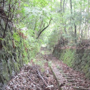 愛宕山電鉄跡


#サント船長の写真　#愛宕山電鉄跡