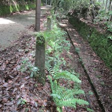 愛宕山電鉄後


#サント船長の写真　#愛宕山電鉄跡