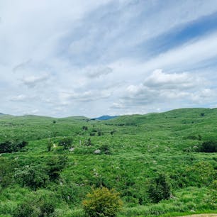 秋吉台（山口）