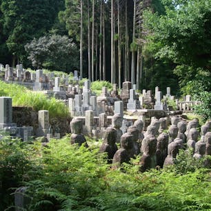 鵜川四十八体石仏群


#サント船長の写真　#石仏　#仏像石像