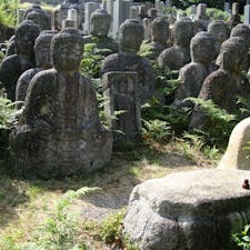 鵜川四十八体石仏群


#サント船長の写真　#石仏　#仏像石像