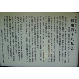 鵜川四十八体石仏群


　白鬚神社から北へ旧西近江路を約600m進むと、高さ1.6mに及ぶ石仏群が見られます。天文22年(1553年)観音寺城(安土町)城主佐々木六角義賢が亡き母の追善のため、対岸の地(高島市鵜川)に48体の阿弥陀如来座像を建立したものと言われています。様式は室町時代の作風を示す花崗岩質の阿弥陀如来坐像で、一体一体が個性溢れる表情をし、琵琶湖に向かって(観音寺城、安土町の方角)静かに並座しています。48体あった石仏のうち13体が大津市坂本の慈眼堂に移され、2体は行方不明となっており、現在は33体が残っています。

#サント船長の写真　#石仏