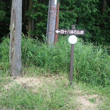 鵜川四十八体石仏群

白鬚浜付近で国道161号線を旧西近江路に折れ北進すると、草深い山中の墓地に、花崗岩石で作られた高さ1.6mの阿弥陀如来像群が見られます。この仏像群は、室町時代後期に観音寺城（現安土町）城主の佐々木六角義賢が亡き母の菩提を弔うため、観音寺から見てちょうど対岸にあたる高島市鵜川（うかわ）に建立したものです。東を向いて静かに並んで座っている石仏は、大きさも少しずつ異なり、慈愛に満ちた顔・あどけない顔・ユーモラスな顔など、姿もそれぞれ異なっています。現在、鵜川に33躰、大津市坂本の慈眼堂に13躰が、それぞれ安置されており、残り2躰は行方知れずになっています。


#サント船長の写真　#石仏