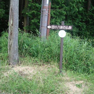 鵜川四十八体石仏群

白鬚浜付近で国道161号線を旧西近江路に折れ北進すると、草深い山中の墓地に、花崗岩石で作られた高さ1.6mの阿弥陀如来像群が見られます。この仏像群は、室町時代後期に観音寺城（現安土町）城主の佐々木六角義賢が亡き母の菩提を弔うため、観音寺から見てちょうど対岸にあたる高島市鵜川（うかわ）に建立したものです。東を向いて静かに並んで座っている石仏は、大きさも少しずつ異なり、慈愛に満ちた顔・あどけない顔・ユーモラスな顔など、姿もそれぞれ異なっています。現在、鵜川に33躰、大津市坂本の慈眼堂に13躰が、それぞれ安置されており、残り2躰は行方知れずになっています。


#サント船長の写真　#石仏