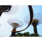 🇸🇬 #Singapore #GardensbytheBay