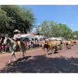 テキサス州フォートワース(Fort Worth, TX)

ストックヤーズ国立歴史地区にて。

1976年に登録財に制定されてから観光スポットとなり、一歩足を踏み入れると街ごとテーマパークのよう。

カウボーイが牧場からマーケットまで家畜の群れを移動させていた当時を再現し、ロングホーンの牛の行進(Cattle drive)がパフォーマンスとして1日2回開催されたり、18世紀のアメリカ西部開拓時代の雰囲気が味わえる。

ジョン・ウェインにまつわるお店やカウボーイ・ミュージアム、ホンキートンク(労働者階級の音楽として発展したカントリー・ミュージック専門の演奏が聴けるクラブ)、ロデオ・アリーナ、ブーツなどの革製品で知られるお店が軒を連ね、真新しいテキサスハットにウェスタンブーツ姿のバケーショナーたちがそぞろ歩く。