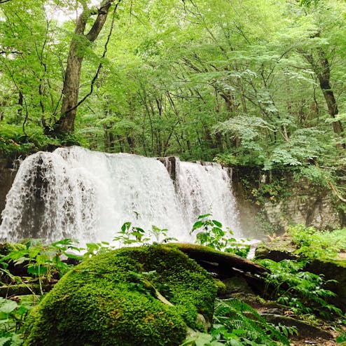 奥入瀬渓流