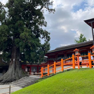 奈良の春日大社