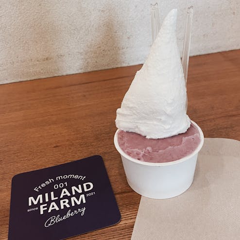 生ジェラート家 モーリー