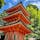 竹生島の宝厳寺の三重塔