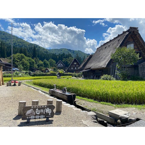 白川郷合掌造り集落