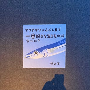 福島県いわき市　アクアマリンふくしま🐟
私が行った時には外の展示も充実していて、
建物はガラス張りの天井が高くて開放的で気持ちがよかったです☁️
何歳になっても水族館はわくわくするし、こういうキュートなイラストが大好き。