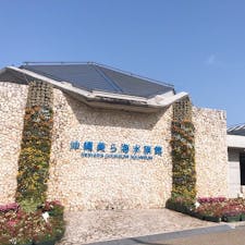 沖縄旅行🐠🏝🌺
2020/3/18〜3/21  3泊4日

沖縄の海綺麗だったな😌🫧
今までの旅行の中でも思い出に残る旅だった！次は石垣島と竹富島行きたい！！