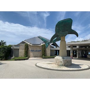 日本で一番大好きな美ら海水族館😘
何度行っても毎回楽しい🐬✨