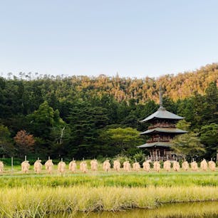 高畠町

阿久津八幡神社、三重の塔。
稲刈りの後。
今はあまりみなくなった、はさがけ。

#高畠町
#まほろば