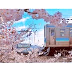 【山梨】絶対降りたいお花見スポット🚉勝沼ぶどう郷駅の桜🌸

新宿から普通列車を乗り継いでおよそ2時間半。長いトンネルを抜けると広がる景色に感動しました。
駅前には約1000本の桜が咲いており、春を感じることができました！

近くには勝沼ぶどう郷駅の旧プラットホームがあり、写真撮影スポットになっていました。お花見をしにきた方々がそれぞれ楽しんでいました。

勝沼ぶどう郷駅は夜になると夜桜としてライトアップされます。またこの時には周りの甲府盆地の夜景も同時に味わえるそうです。

首都圏から気軽にお花見旅行に行ける勝沼ぶどう郷駅。ぶらり途中下車したい方にオススメです！



首都圏からお越しの方は青春18きっぷがおすすめです。日本全国のJR線普通列車が1日乗り放題になるフリーきっぷです。特急には乗れませんが、今回の勝沼ぶどう郷駅は特急停車駅ではないため普通乗車券を買うよりかなり安い値段で行くことができます。途中下車が可能なのでおすすめです。5回で1セットなのでお気をつけください。

◯利用期間(1日間有効)
春シーズン 3月1日〜4月10日
夏シーズン 7月20日〜9月10日
冬シーズン 12月10日〜1月10日

◯値段
12050円 (5日分)