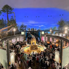 〰️Fukui🇯🇵〰️
#勝山市#福井県立恐竜博物館