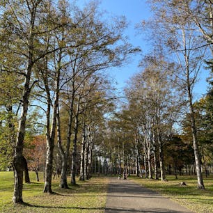 ちょっとした森の中を散策する気分でお散歩できる、帯広の街中にある公園。なにより熊が出る心配をしなくて良いのがいいなぁ。
#緑ヶ丘公園