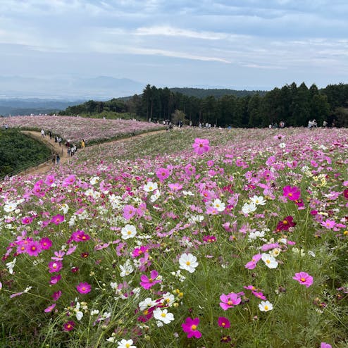 白木峰高原