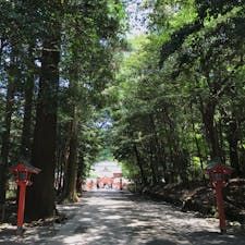 #鹿児島 
#霧島
#霧島神宮
#さざれ石
#天孫降臨
#ニニギノミコト
#パワースポット
#霧島高原
#霧島温泉
#鹿児島観光