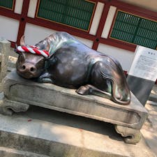 太宰府天満宮の御神牛