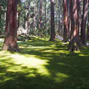 福井の夏のおすすめ観光スポットランキングtop27 観光地 福井の夏のおすすめ観光スポットランキングtop27 観光地