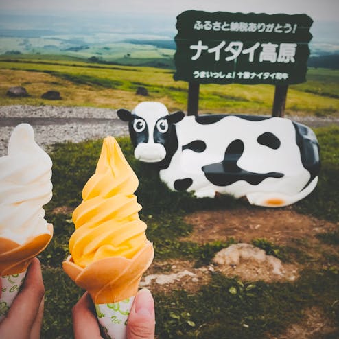 ナイタイ高原牧場