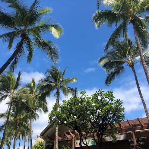 ヒルトン ハワイアン ビレッジ