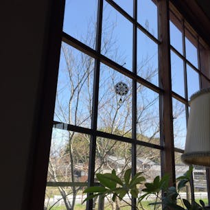 おかずいっぱいのランチは窓側のカウンターで頂くのが好きです