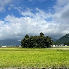 〰️Fukui🇯🇵〰️
#大野市#山伏岩#猫島#トトロ