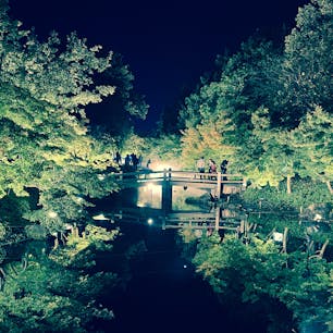 幻想的な空間「鏡池」。
仕事に追われる現実を忘れさせてくれる瞬間