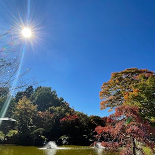 群馬　温泉への旅