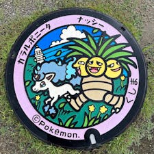 宮崎のポケふた！！たくさん！！