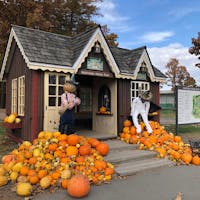 ノーザンホースパーク
ハロウィン仕様

2022年10月　@北海道