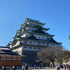 尾張名古屋は城でもつ
名古屋城は美しいですね