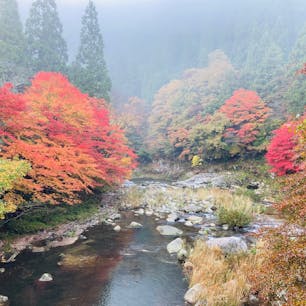 岡山　奥津渓
朝もやの紅葉