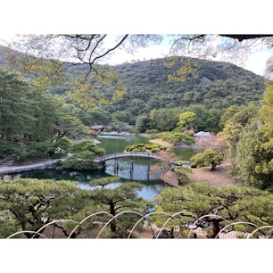 栗林公園

時間があったので立ち寄って来ました！
広い見渡しのいい公園でお散歩するには最高でした🥳

#香川