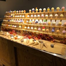 アイスかと思いきやポテサラ！
星野リゾートトマム

2022年10月　@北海道