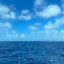 〰️Okinawa🇯🇵〰️
泊港▷阿嘉港