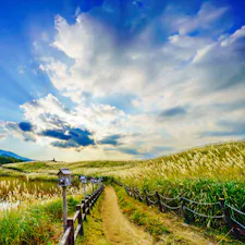 2022.10.23曽爾高原行った
ススキの季節になると野次馬達が逆光に輝く黄金色のススキに癒しを求めて日曜日になると駐車場は長蛇の列。遅くとも10時までには行ったほうがいいです。