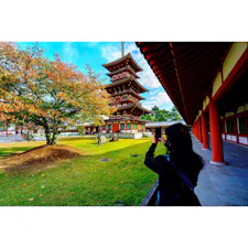 行ってみたら見応えのあるお寺
五重塔も左右にあり素晴らしい
説法も聞き応え充分