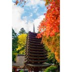 談山神社と言えば十三重塔
紅葉の季節はごった返すけど一度は行っときたい場所