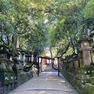 青天の春日大社🦌