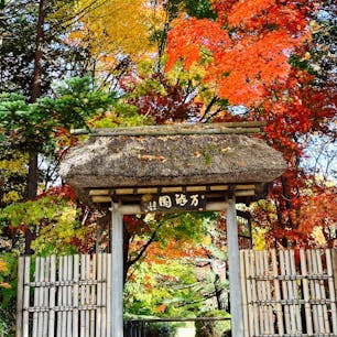 小諸ワイナリー
長野