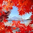 2022.11.10
富士山🗻山中湖の紅葉🍁

#山中湖
#富士山
#山梨県
#紅葉
#一泊二日