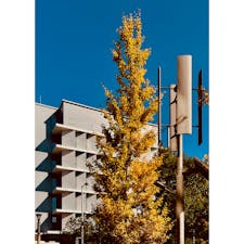 武蔵野大学　有明キャンパス